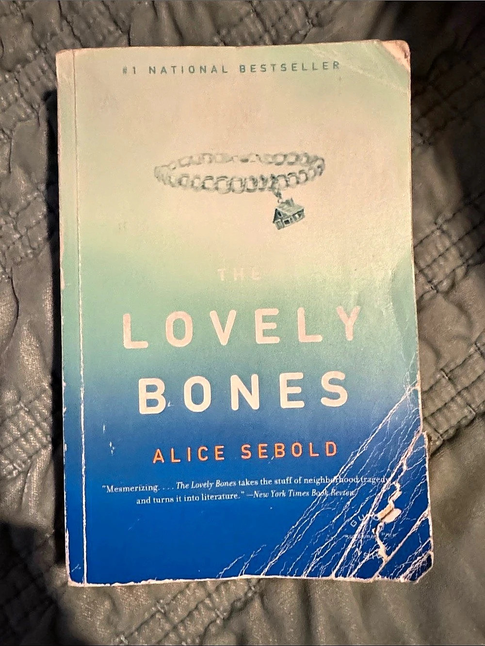 The Lovely Bones Paperback Novel Alice Sebold
